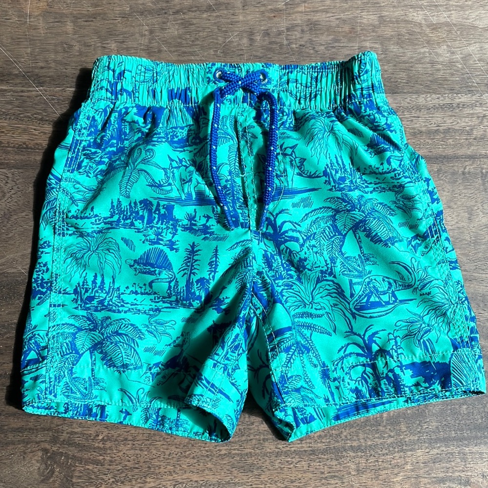Baby Gap Toddler Bathing Suit